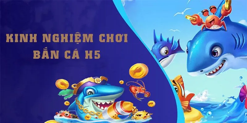 Một vài bí quyết đỉnh cao trong công cuộc săn cá tại OK365 