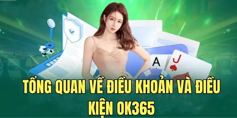 Điều khoản của OK365 quy định về quyền và nghĩa vụ của hội viên trong quá trình trải nghiệm dịch vụ